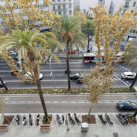 Maison d'hôtes Diagonal *